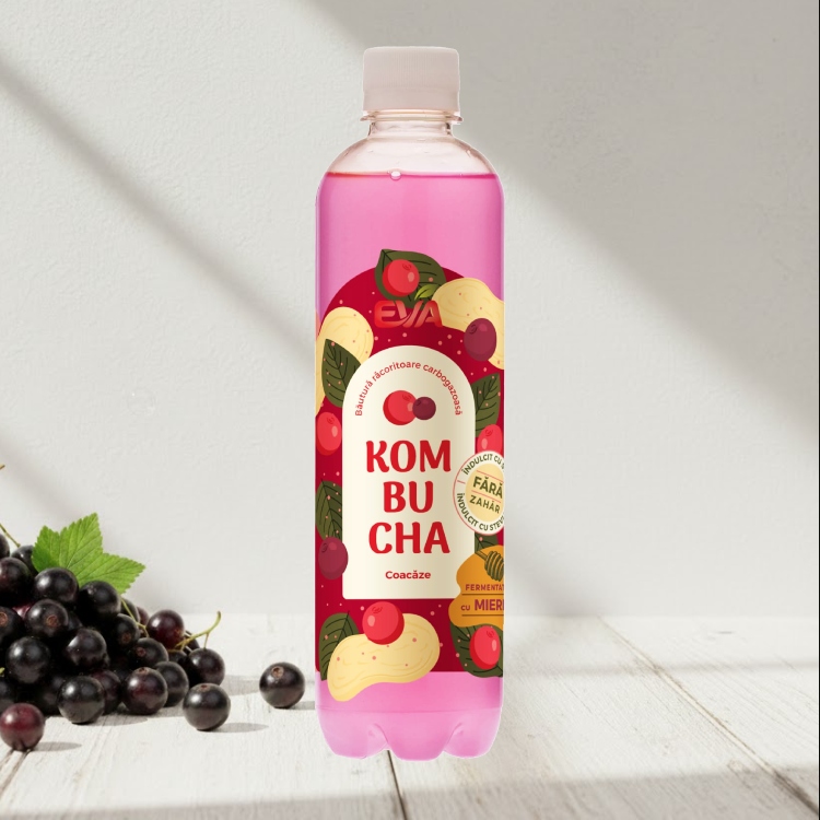 coacaze.webp Băutură Kombucha cu Coacăze EVA, 500ml Fermentată natural cu Miere, Fără Zahăr Adăugat